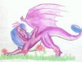 od Molly2.jpg